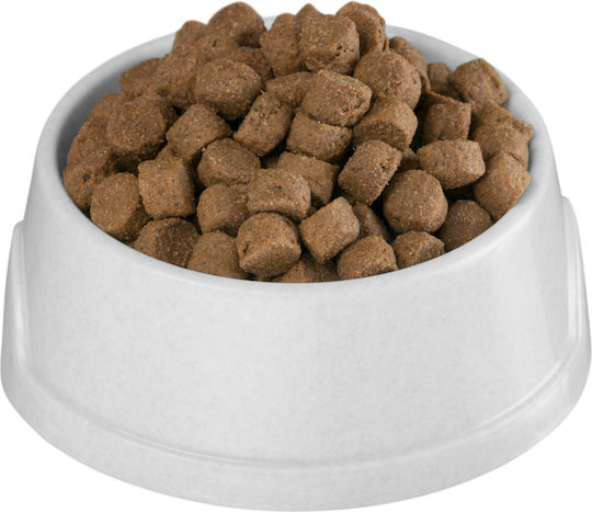 M.B.F. LOVIT 2.5kg Dry Food for Adult Small & Medium Breed Dogs with Calf