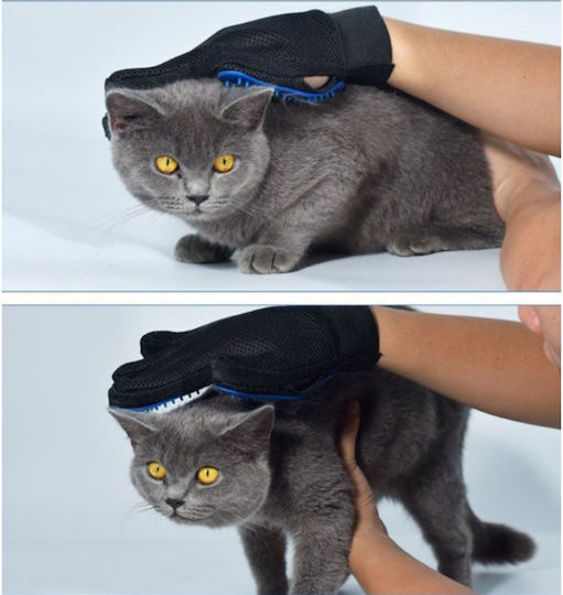 Glove Dogs for Coat Grooming Blue