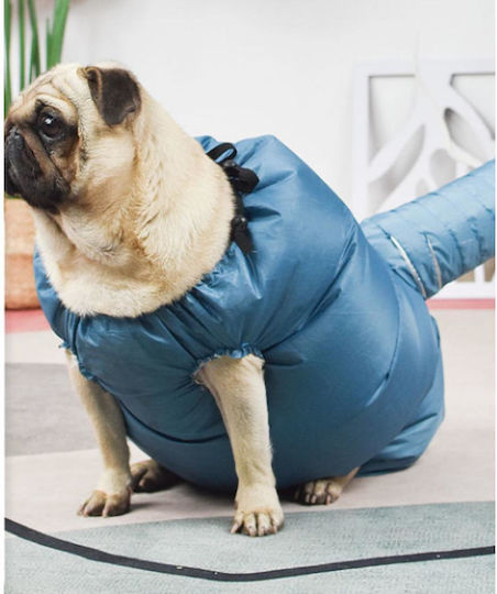 Animal Tragbarer Hundetrockner Blau mit Dachfirst 100cm