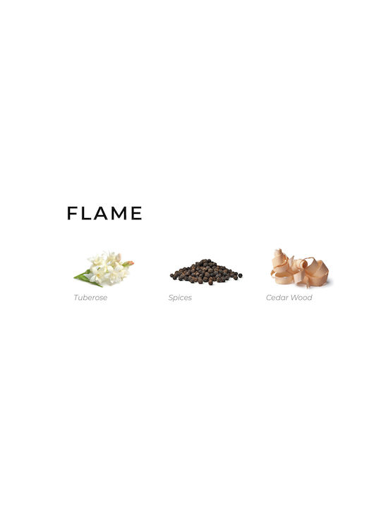Αρωματικό Σπρέι Annatwelve Trigger Basic 500ml Flame
