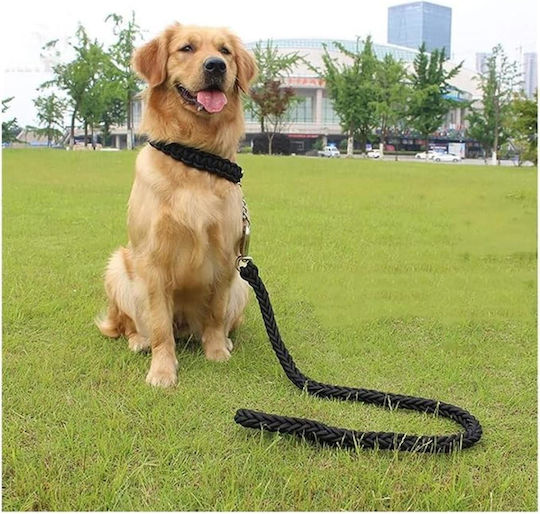 Animal Dog Leash/Lead Strap in Black color