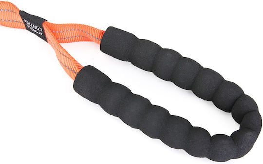 Animal Dog Leash/Lead Strap in Black color