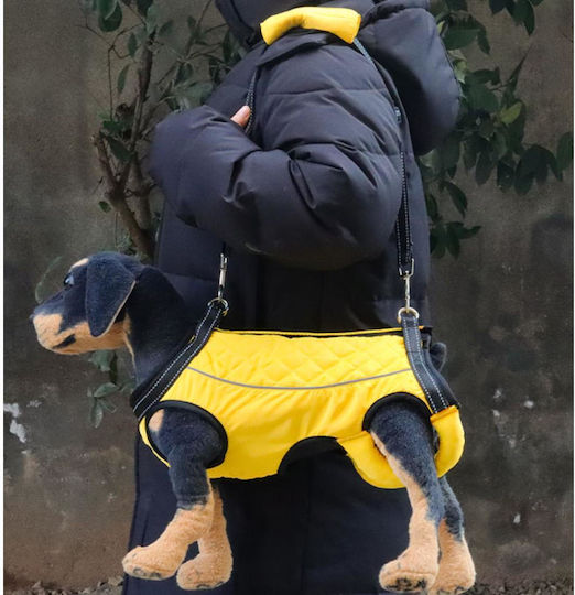 Animal Λουρί/Οδηγός Σκύλου Ιμάντας σε Μαύρο χρώμα