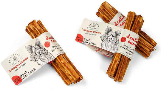 Celebrate Freshness Dog Stick Treats with Beef, Calf, Chicken and Carob 4pcs