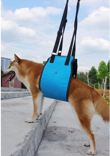 Animal Waterproof Dog and Cat Carrying Bag M65xP17cm