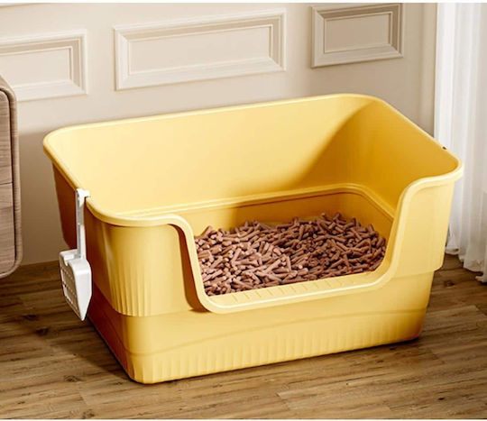 Animal Cat Basin