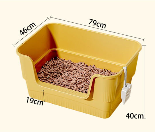 Animal Cat Basin