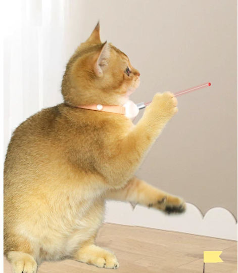 Animal Katzenhalsband