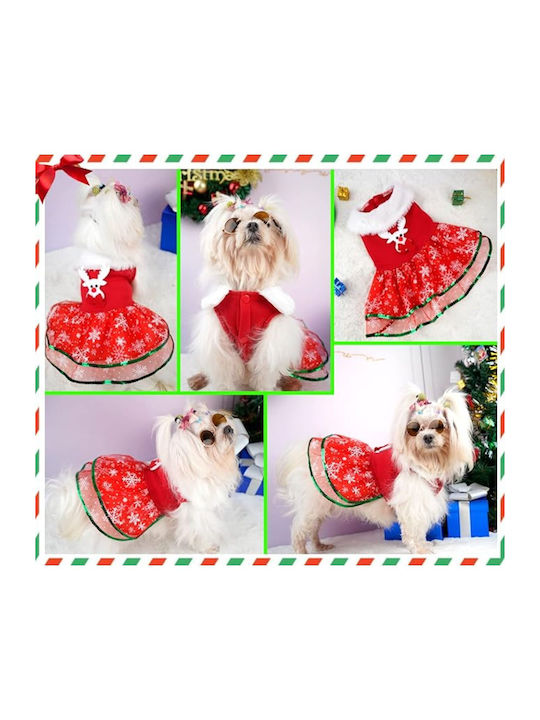 Dog Dress 28cm