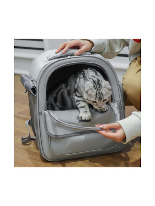 Animal 33cm Gray
