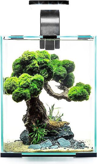 Aquael Shrimpset Day Night 20 Aquarium Fish Capacity 20L with Lighting Heater Filter 25x25x30cm Black