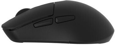 Powertech Kabellose Ergonomische Maus Schwarz