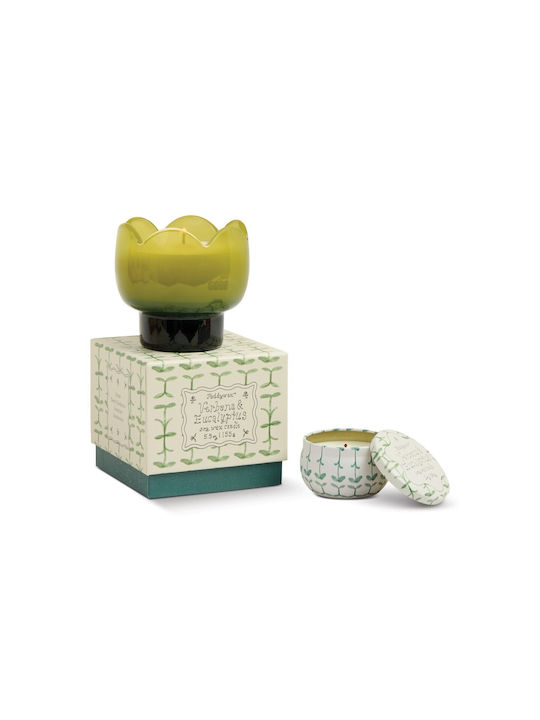 Paddywax Aromatic Soy Candle in Jar with Rose Scent 155g