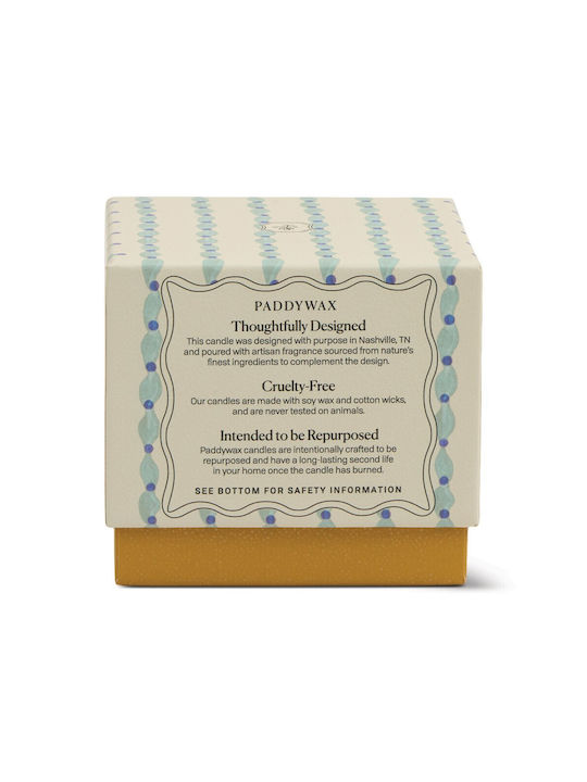 Paddywax Αρωματικό Κερί Σόγιας σε Βάζο με Άρωμα Γιασεμί 155gr
