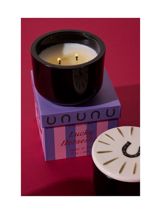 Paddywax Aromatic Soy Candle in Jar with Charmed Scent 226g