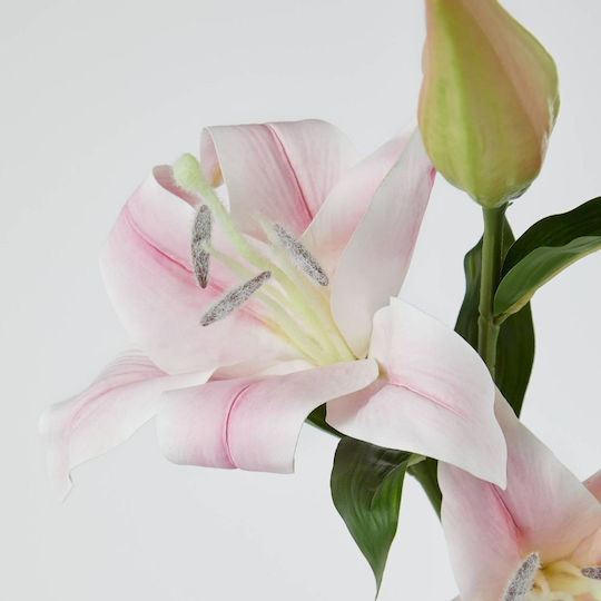 Florista Krysinos Rosa Offen Rosa Tiefe 24cm X Breite 24cm X Höhe 90cm Gewicht 0,09kg Florista Krysinos Rosa Offen Rosa Tiefe 24cm X Breite 24cm X Höhe 90cm Gewicht 0,09kg