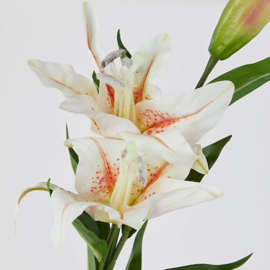 Florista Krysino Lefko Lefko Vathos 24cm X Platos 24cm X Ipsos 90cm Varos 0,09kg Florista Krysino Lefko Lefko Vathos 24cm X Platos 24cm X Ipsos 90cm Varos 0,09kg