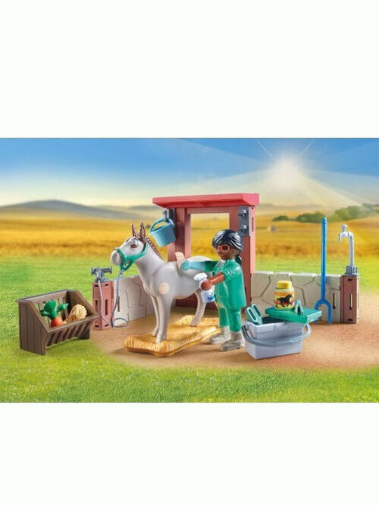Country Taking Care of the Donkeys Playmobil