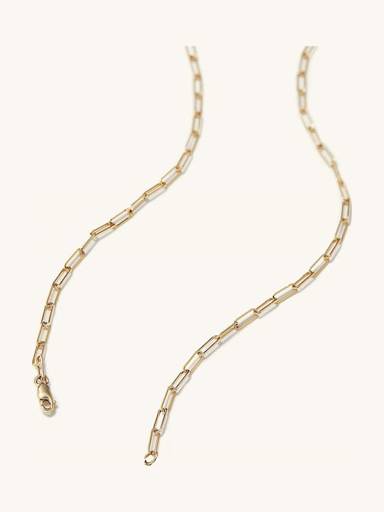 Neck Chain Made of Gold Plated Steel
