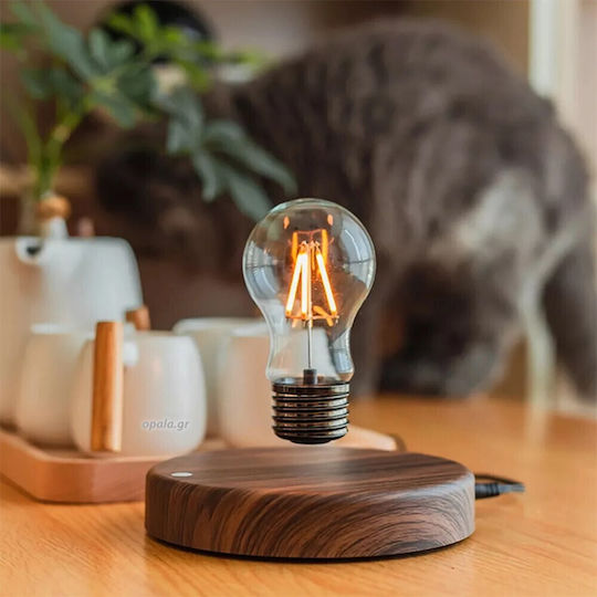 Lumină Decorativă