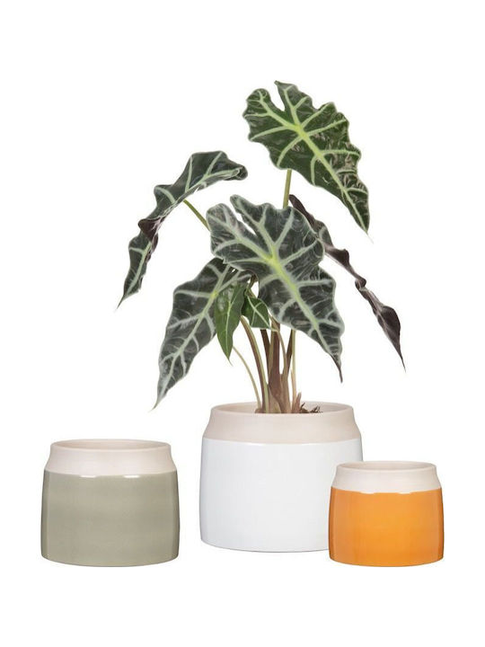 Scheurich Vaze Pentru Plante Ceramică Verde