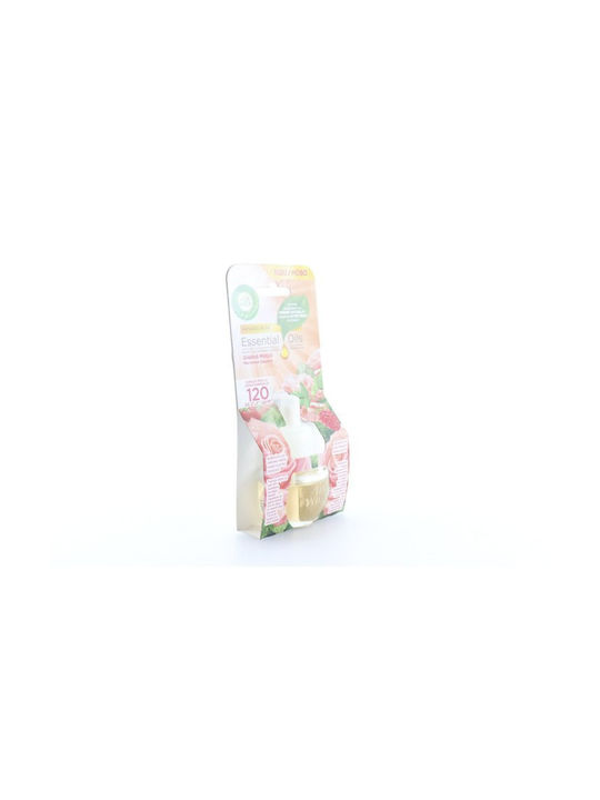 Airwick Nachfüllpack für Steckdosen-Geräte mit Duft Rose 16289 19ml