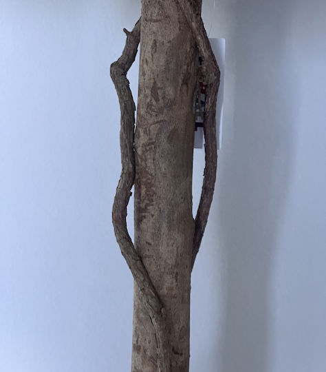 Изкуствено Растение За Външно Пространство Azalea 57 Цвята Височина 92cm