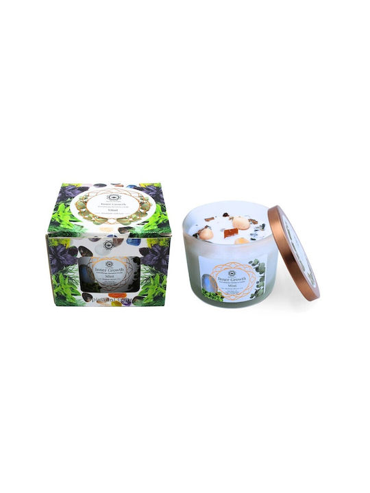 Green Tree Candle Company Aromatic Soy Candle in Green Jar 256g