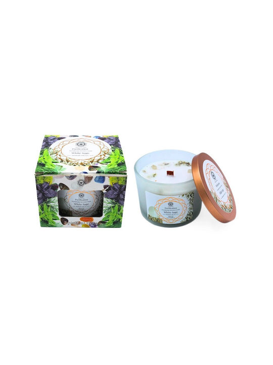 Green Tree Candle Company Κερί Σόγιας σε Βάζο Πράσινο 256gr