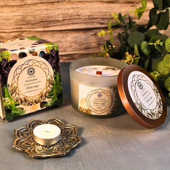 Green Tree Candle Company Soja Kerze in Gefäß Grüne 256gr