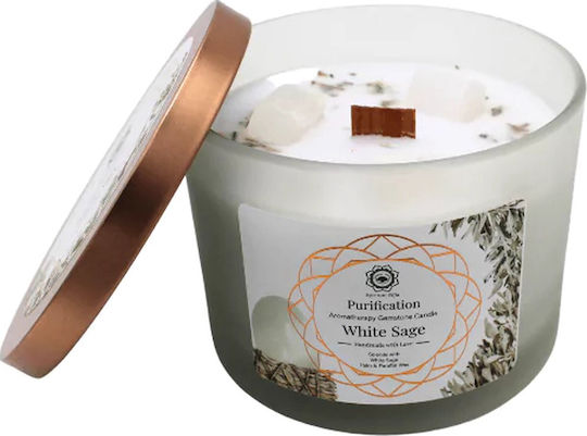 Green Tree Candle Company Soja Kerze in Gefäß Grüne 256gr