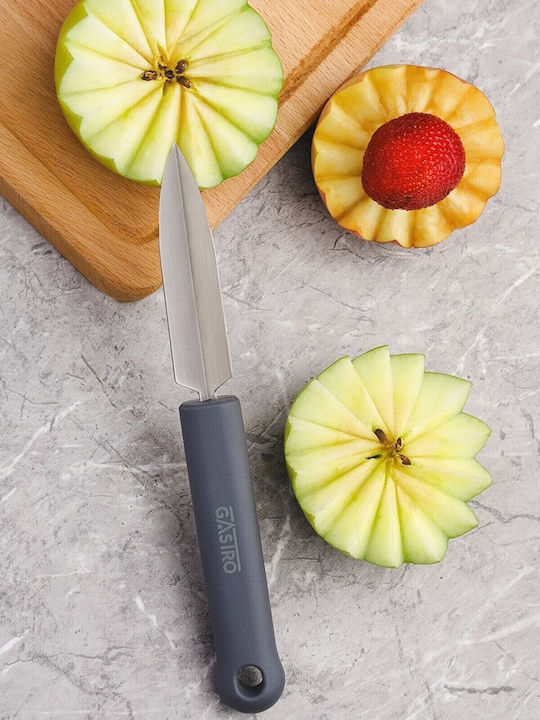 Pirge Gastro Obstermesser aus Rostfreiem Stahl 8,5cm