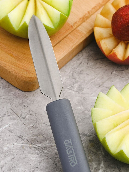 Pirge Gastro Obstermesser aus Rostfreiem Stahl 8,5cm