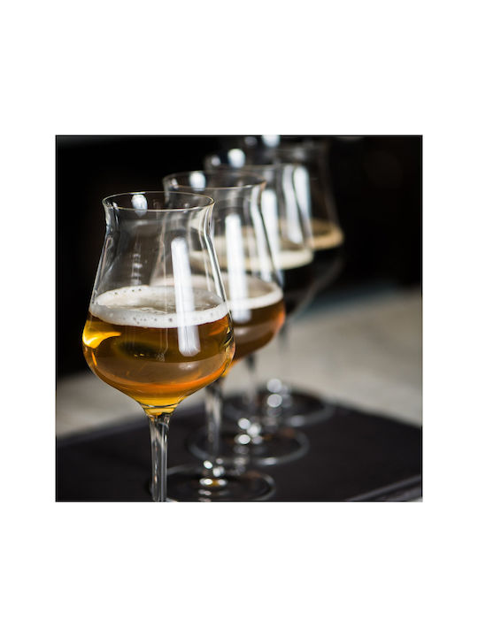 Luigi Bormioli Birrateque Set Pahare pentru Bere din Sticlă cu Picior 420ml 6 Bucăți