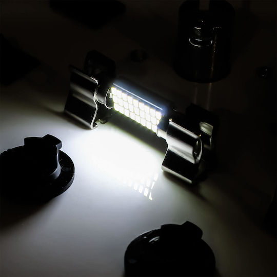 Rchang Car Lamp 36mm C5W Canbus LED 6500K Cold White 12V