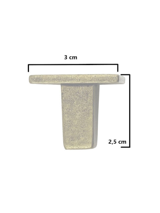 Herrajes Palencia Antik Knopf Möbelgriff aus Metallisch in Gold Farbe 4943-30-ANTIKE 1Stück