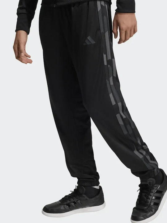 Kids Sweatpants Set Black/Carbon 3 Stripes