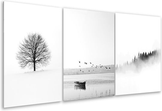 Threefold Glass Set of Black and White Landscape Paintings (35x50cm)