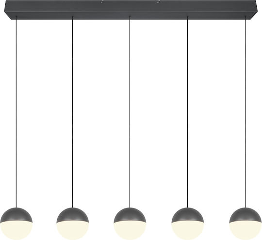 Trio Lighting Senta Gray Ceiling Light