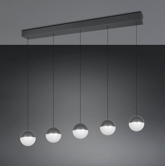 Trio Lighting Senta Gray Ceiling Light