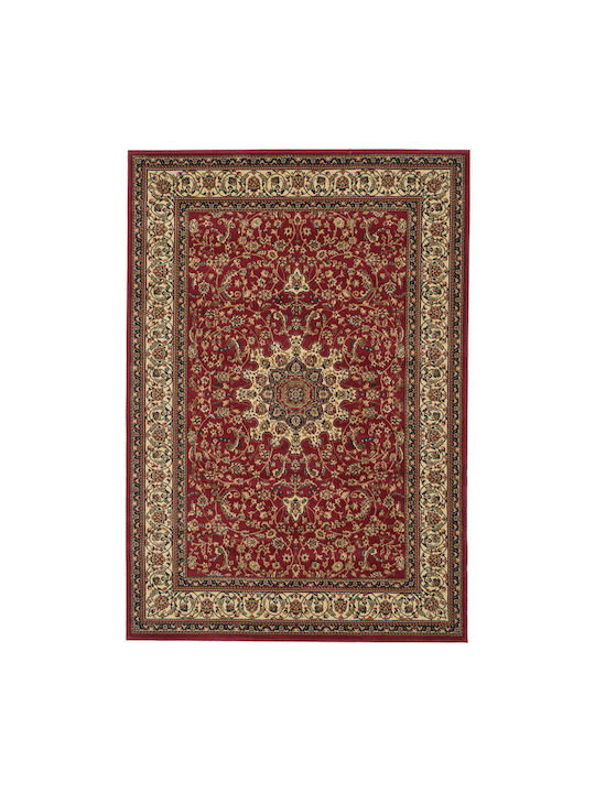 Isexan 1908 Rectangular Red Rug 50x80cm