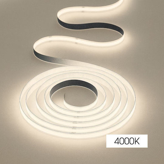 Vivalux LED Strip 24V Natural White Light 5m COB Type