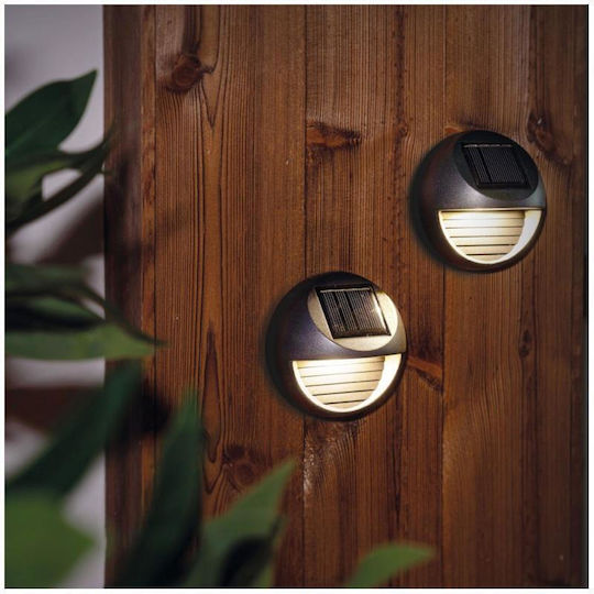 Set of 2 Solar Lights with Photocell