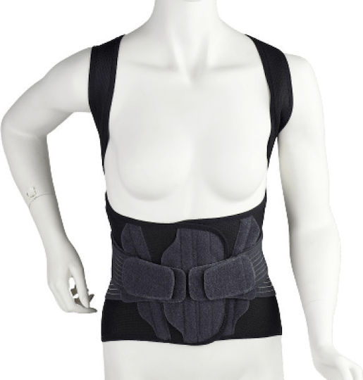 Medical Brace Th.o.m.s. Schiene Kofferraum