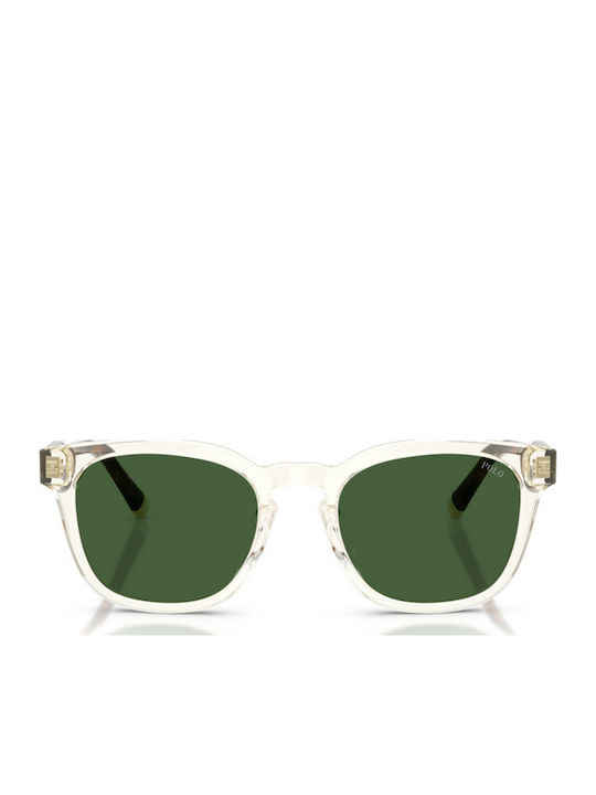 Polo Men's Sunglasses with Transparent Horn-Rimmed Frame and Transparent Lens 635771