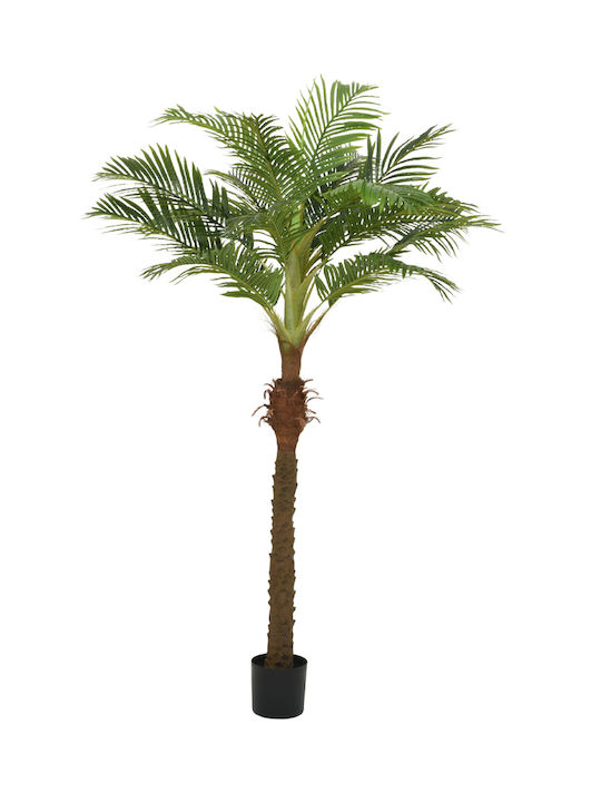 Φοινικας Γλαστρα 230cm 110x90x230cm Μονόχρωμο Kaeming