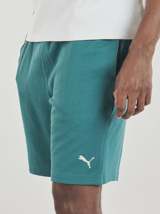 Ess Herren Shorts Grüne