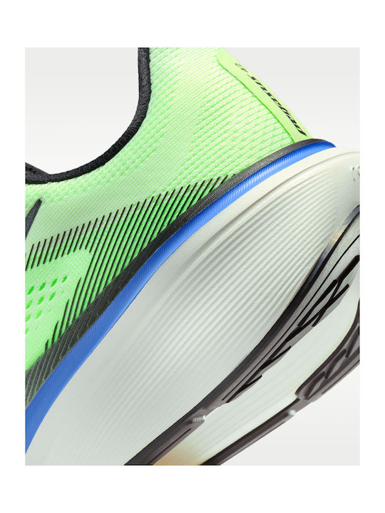 Pegasus 42 Мъжки Спортни Обувки Running Volt Tint / Sapphire / Lime Blast / Black Spruce