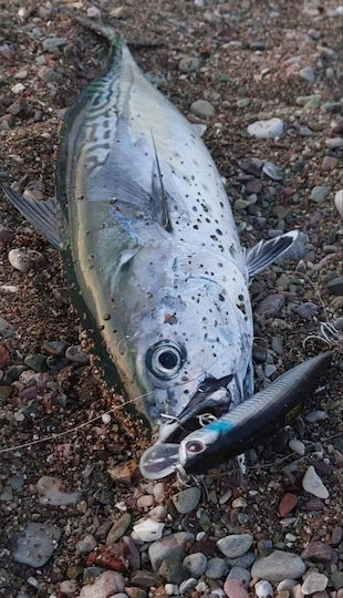 Noeby Τεχνητό Δόλωμα 23gr Χρώμα 179