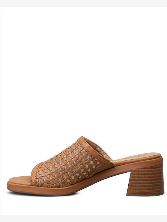 Clarks Clarks
